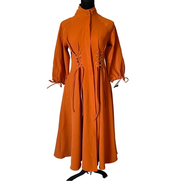 The RAETRUDA Rust Tie Accent Dress - Picture 5 of 14